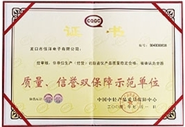 質(zhì)量、信譽雙保障示范單位